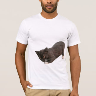 Schönes Cat Picture T-Shirt