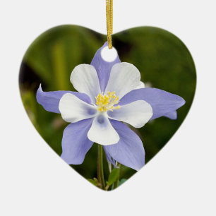 Schönes Columbine Keramikornament