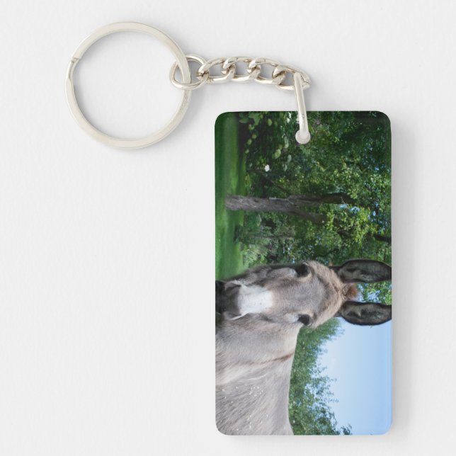 Schönes Donkey-Portrait Schlüsselanhänger (Vorderseite)