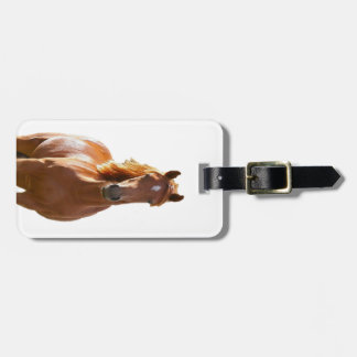 Schönes elegantes Brown-Pferd Gepäckanhänger