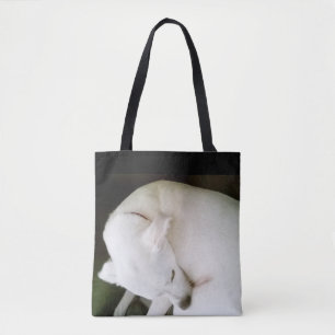 Schönes elegantes Polar White Labrador Mix
