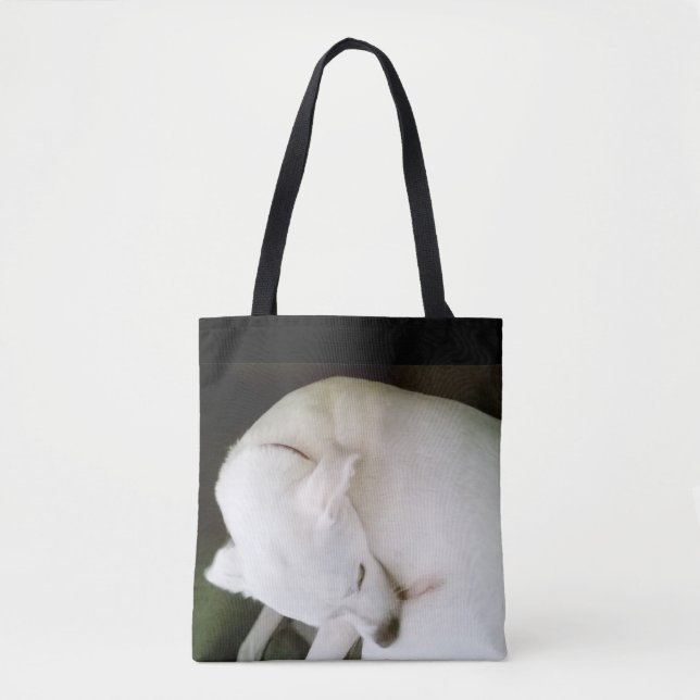 Schönes elegantes Polar White Labrador Mix (Vorderseite)
