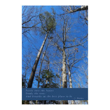 Schönes Fall Day Poster