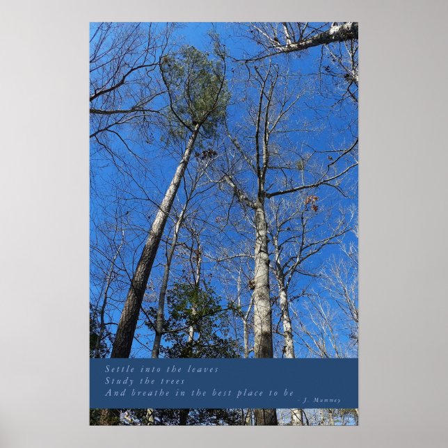 Schönes Fall Day Poster (Vorne)