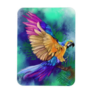 Schönes, farbenprächtiges Parrot Magnet-Geschenk Magnet
