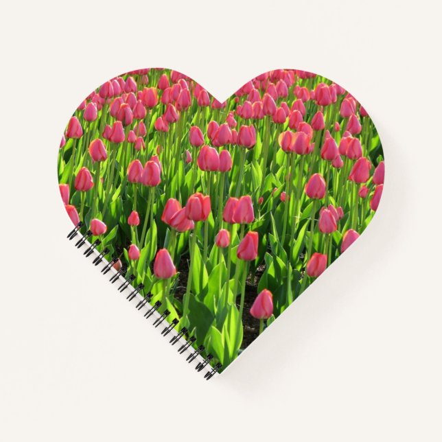 Schönes Feld mit rosa Tulpen Notizbuch (Vorderseite)