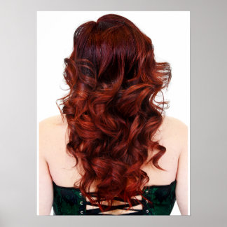Schönes Feuer Ombre' Salon Poster
