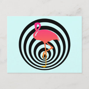 Schönes Flamingo in Kreisen Postkarte