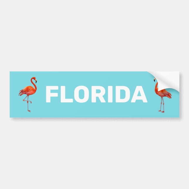 Schönes Florida Flamingos auf Light Blue Autoaufkleber (Vorne)