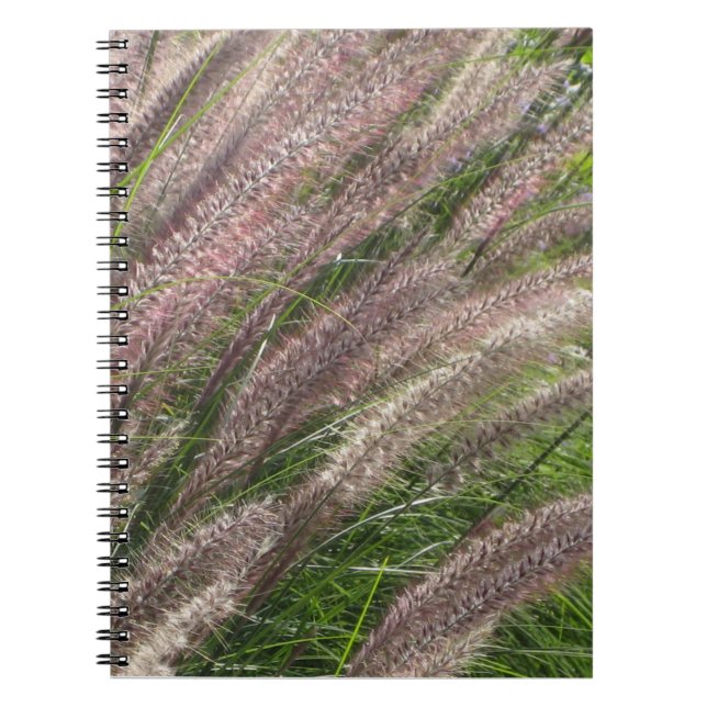 schönes Foto der Natur, Pampas-Gras, Zeitschrift Notizblock (Vorderseite)