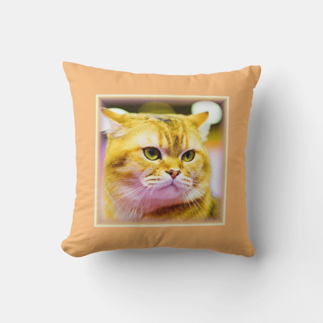 Schönes Foto einer Niedlichen Katze . Jetzt kaufen Kissen (Vorderseite)