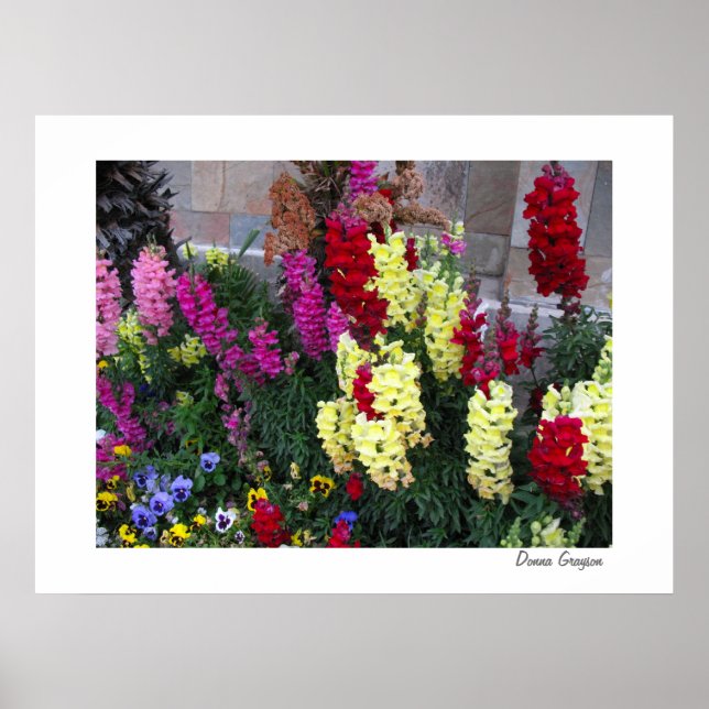 Schönes Gartenposter drucken Poster (Vorne)