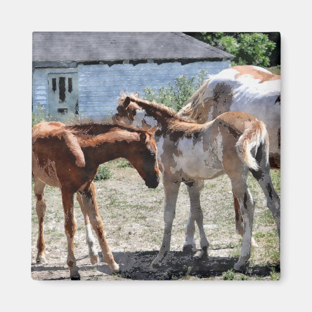 Schönes Geschenk für Pferde-Liebhaber Magnet (Vorne)
