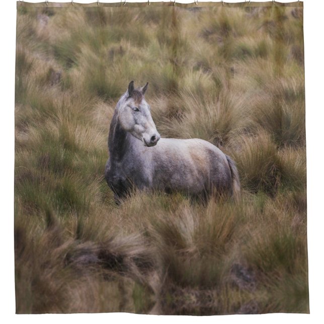 Schönes graues, farbiges Pferd Duschvorhang (Vorderseite)