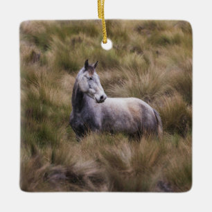 Schönes graues, farbiges Pferd Keramikornament