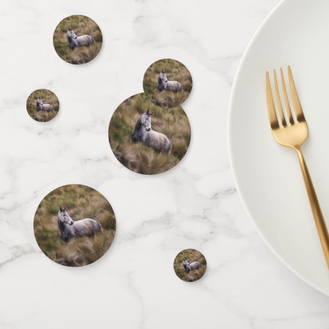 Schönes graues, farbiges Pferd Konfetti (Gruppe)