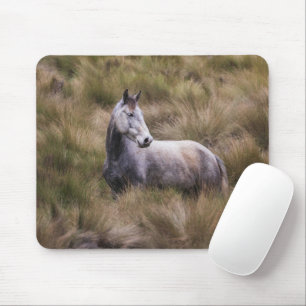 Schönes graues, farbiges Pferd Mousepad