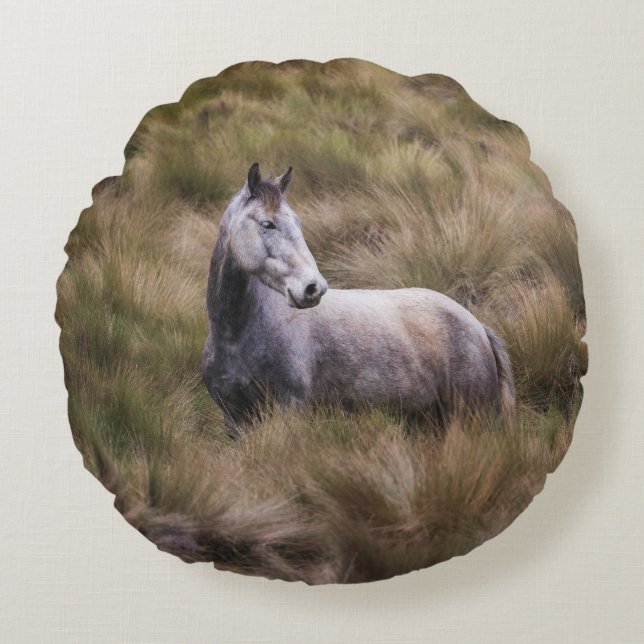Schönes graues, farbiges Pferd Rundes Kissen (Vorderseite)