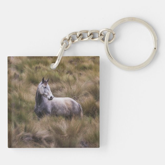 Schönes graues, farbiges Pferd Schlüsselanhänger (Rückseite)