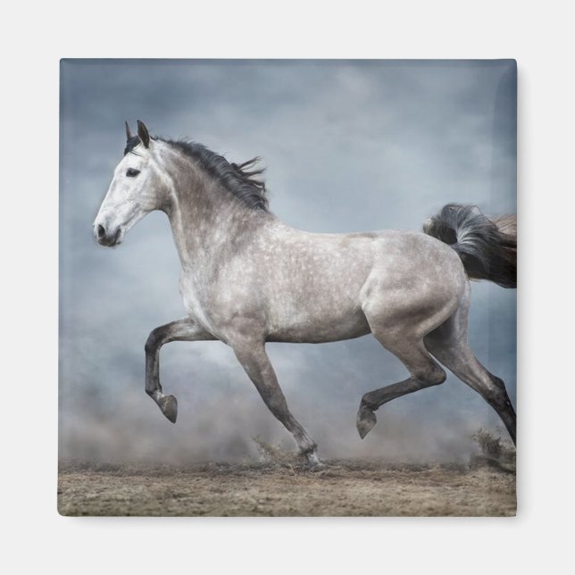 Schönes graues Pferd Dramatischer Himmel Sandy Lan Magnet (Vorne)