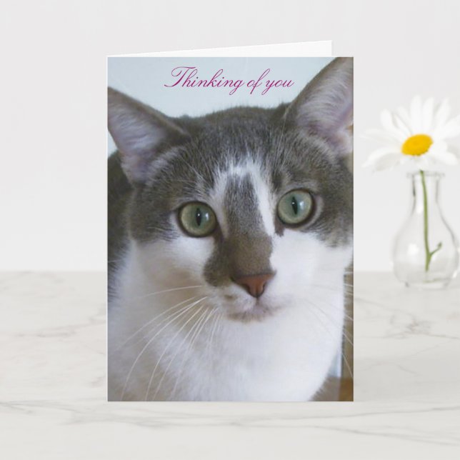 Schönes graues und weißes Katzengedanken von Ihnen Karte (Kleine Pflanze)