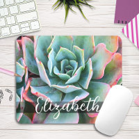 Schönes Green Cactus Foto Individuelle Name Script