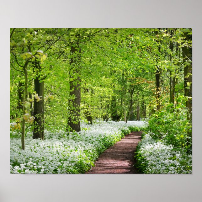 Schönes Green Springtime Forest Foto Poster (Vorne)