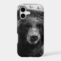 Schönes Grizzly-Bärn-Foto