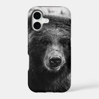 Schönes Grizzly-Bärn-Foto