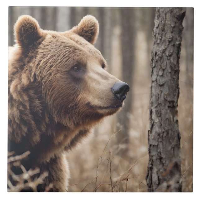 Schönes Grizzy Bären Portrait Brown Bear 3a Fliese (Vorderseite)