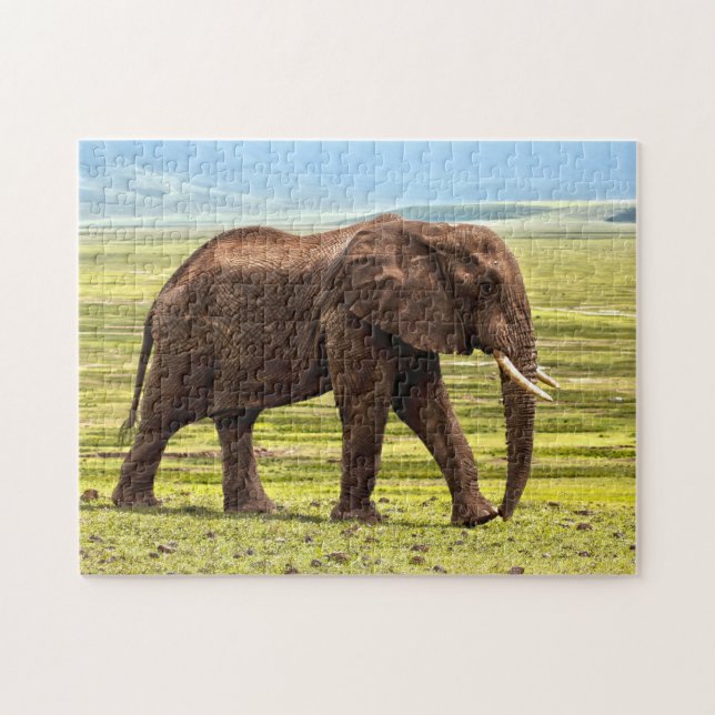 Schönes großes Elefant-Foto Puzzle (Horizontal)