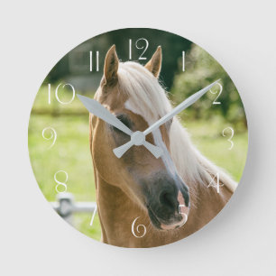 Schönes Haflinger-Pferdeportrait Runde Wanduhr
