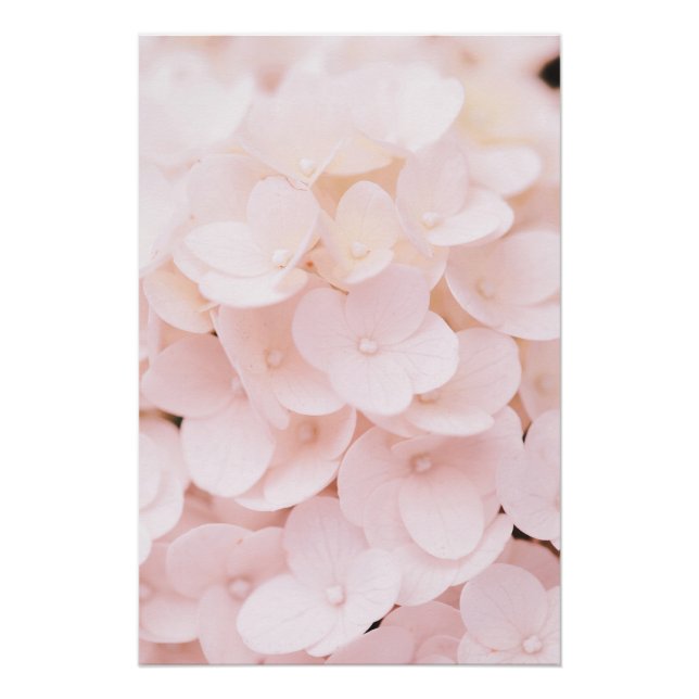 Schönes hellrosa Blume Petals florales Poster (Vorderseite)