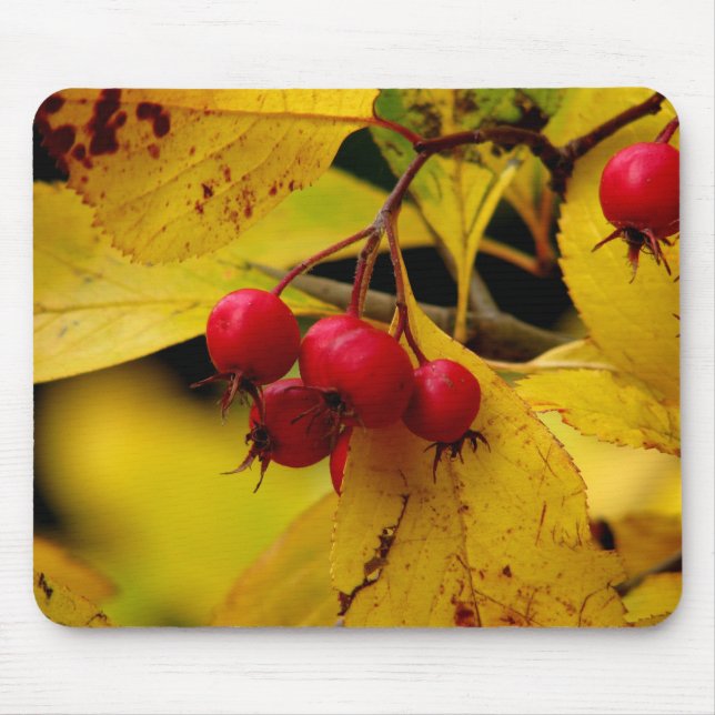 schönes Herbstmousepad Mousepad (Vorne)