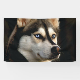Schönes Husky Throw Kissen Banner