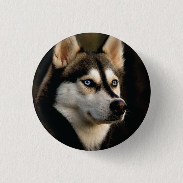Schönes Husky Throw Kissen Button (Vorderseite)