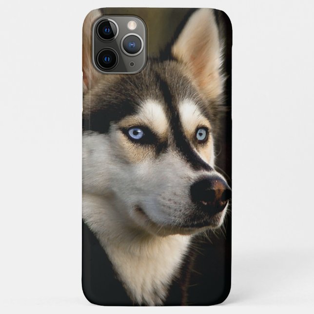 Schönes Husky Throw Kissen Case-Mate iPhone Hülle (Rückseite)