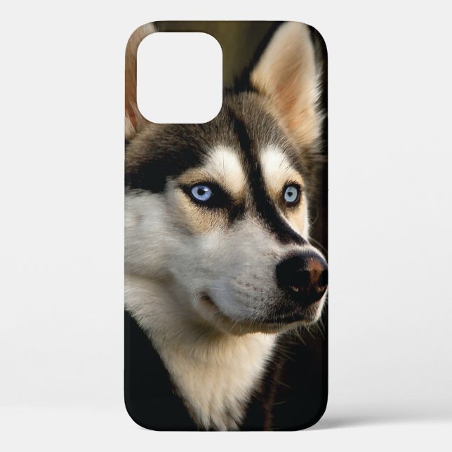 Schönes Husky Throw Kissen Case-Mate iPhone Hülle (Rückseite)