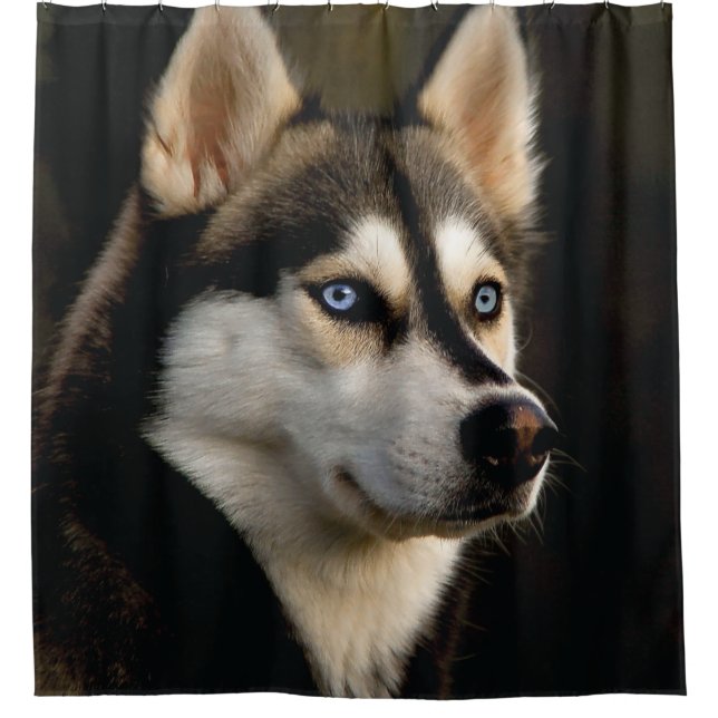 Schönes Husky Throw Kissen Duschvorhang (Vorderseite)