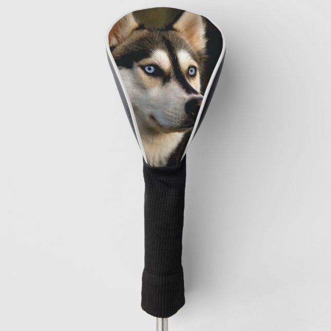 Schönes Husky Throw Kissen Golf Headcover (Vorderseite)