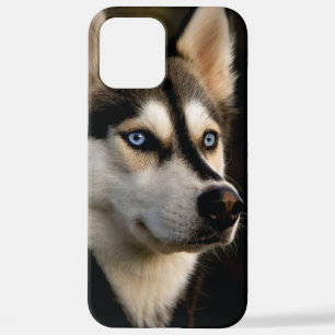 Schönes Husky Throw Kissen iPhone 12 Pro Max Hülle