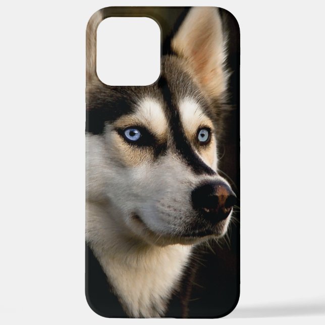 Schönes Husky Throw Kissen iPhone Hülle (Rückseite)