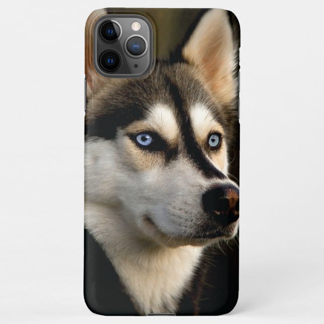 Schönes Husky Throw Kissen iPhone Hülle (Rückseite)