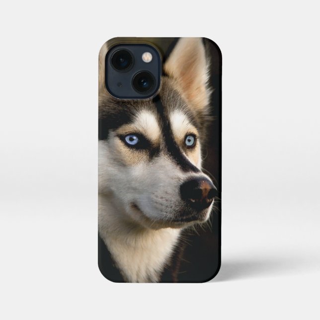 Schönes Husky Throw Kissen iPhone Hülle (Rückseite)