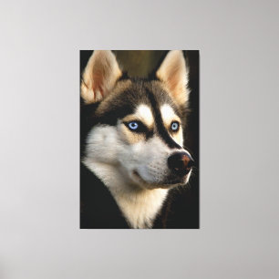 Schönes Husky Throw Kissen Leinwanddruck