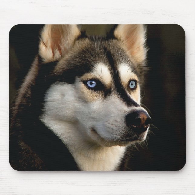 Schönes Husky Throw Kissen Mousepad (Vorne)