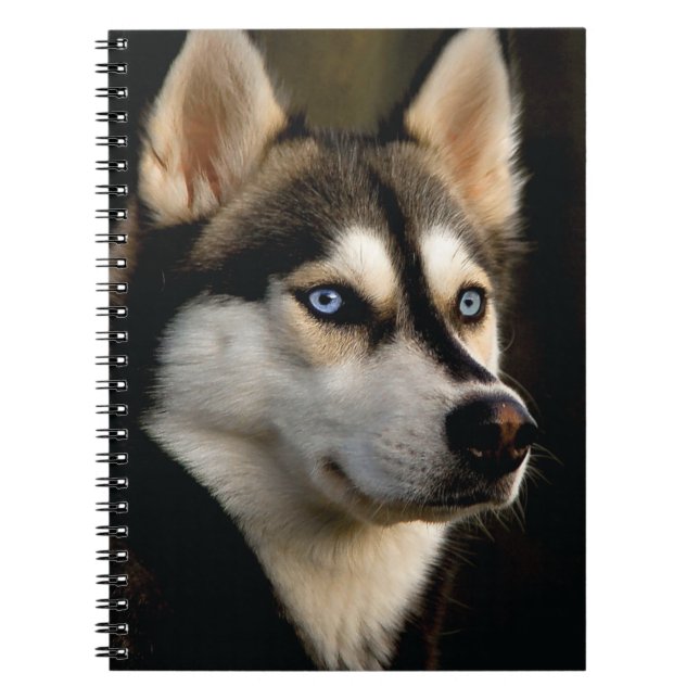 Schönes Husky Throw Kissen Notizblock (Vorderseite)