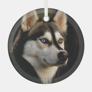 Schönes Husky Throw Kissen Ornament Aus Glas