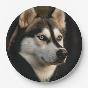 Schönes Husky Throw Kissen Pappteller