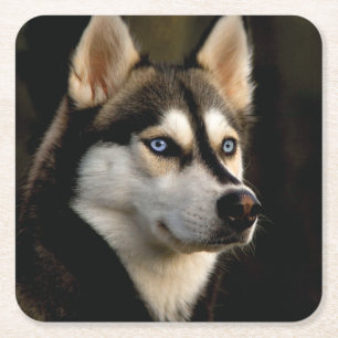Schönes Husky Throw Kissen Rechteckiger Pappuntersetzer